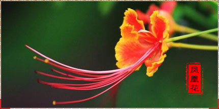 F-1.jpg
