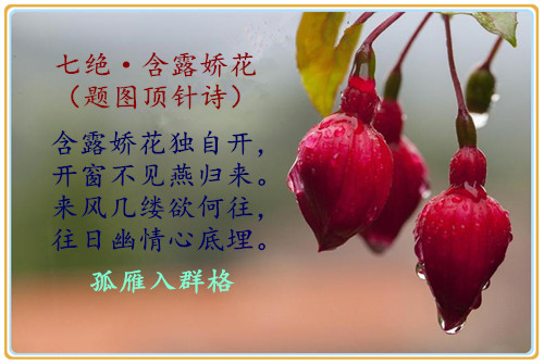 1aad3b3257400dd190c98c2703a83417_����.jpg
