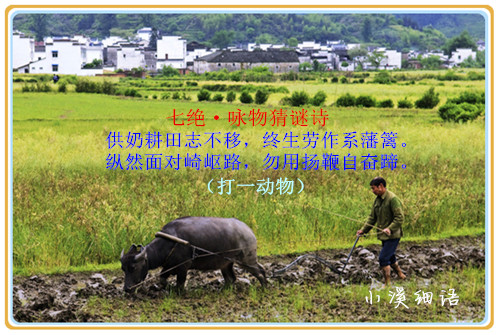 cbda055d5c6ca7ad52bbdb00f4a3f6f4_����.jpg