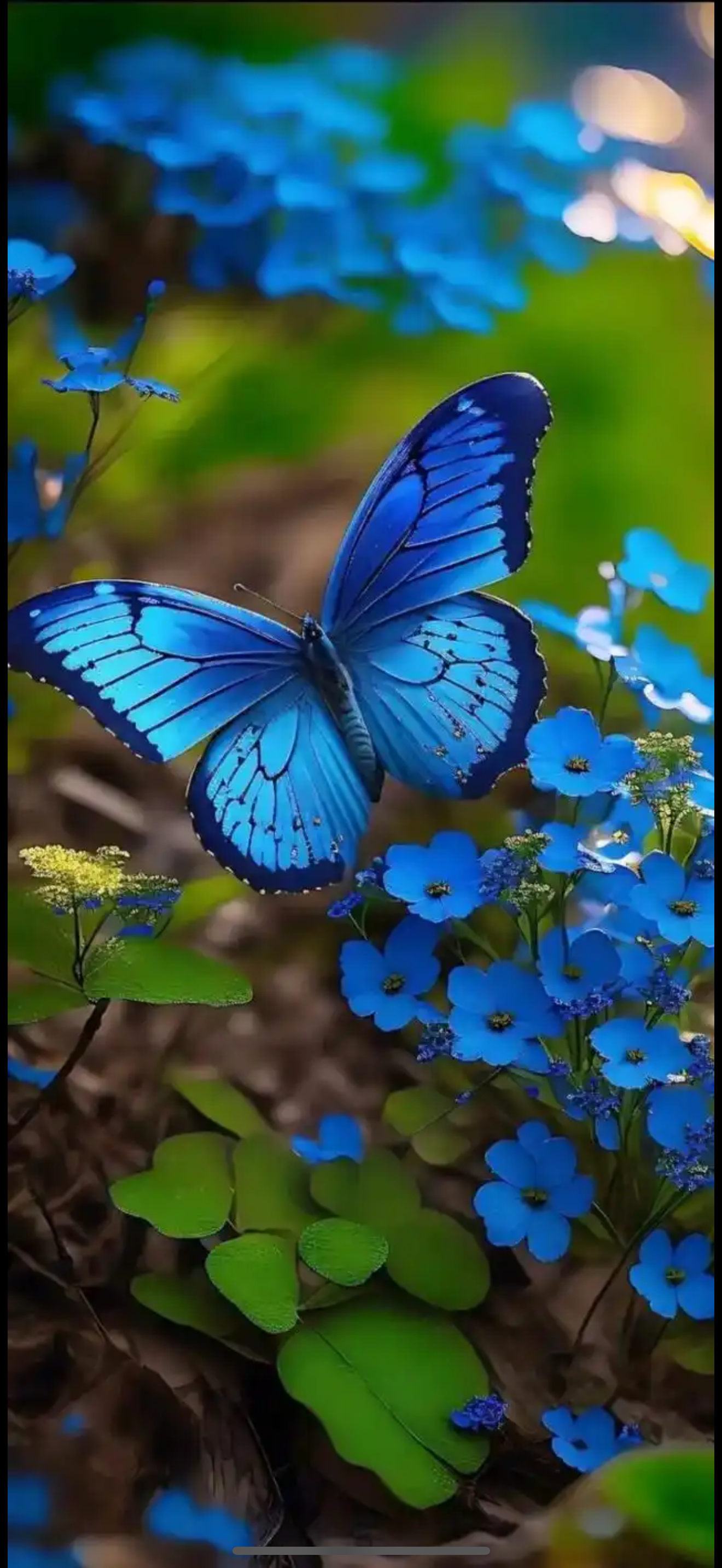 IMG_1688.png